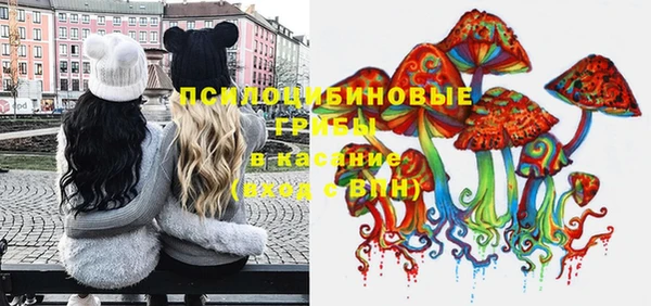MDMA Няндома
