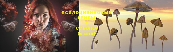 MDMA Няндома