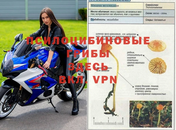 герыч Нягань