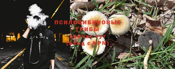 MDMA Няндома