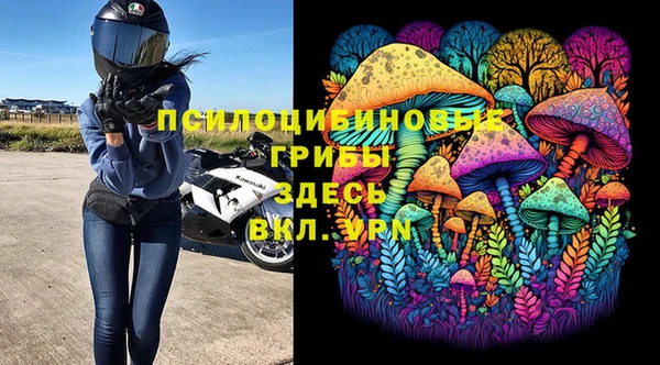 MDMA Няндома