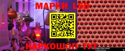 дмт Гатчина