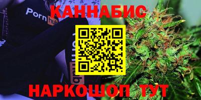 дмт Гатчина