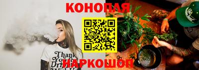 дмт Гатчина