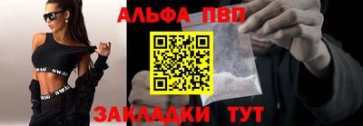 дмт Гатчина