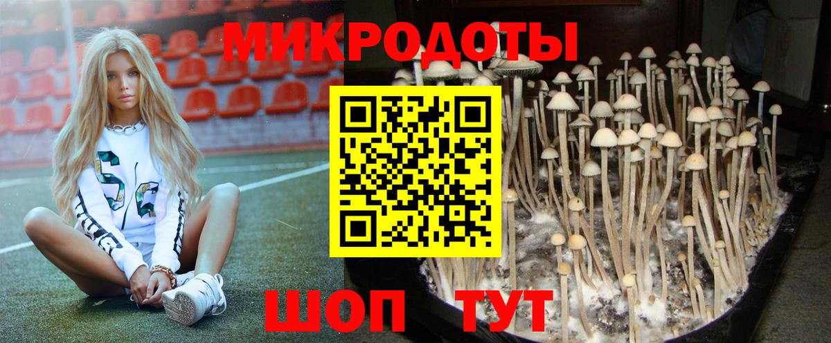 Галлюциногенные грибы ЛСД Тосно