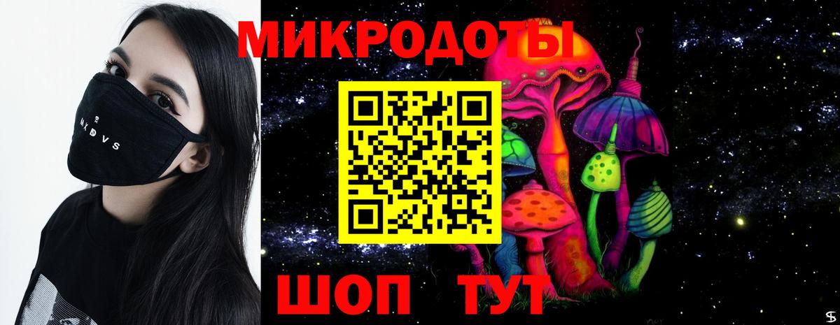 Тосно  Псилоцибиновые грибы прущие грибы  Вход с VPN 